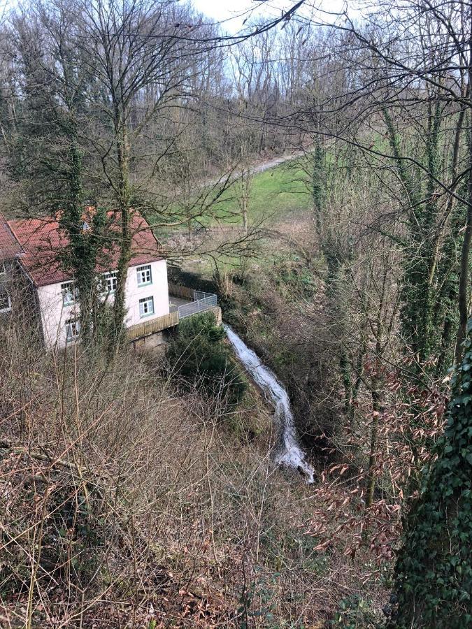 Ferienwohnung Waldruhe Hessisch Oldendorf Exterior photo